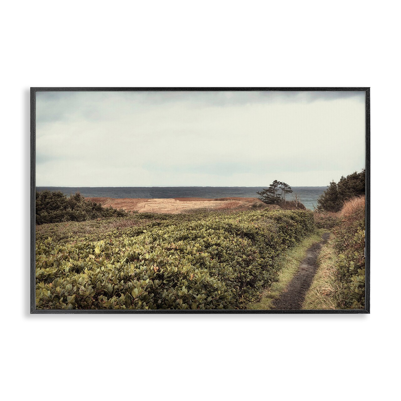 Stupell Industries Serene Coastal Pathway Framed Giclee Wall Art Design by Andy Amos